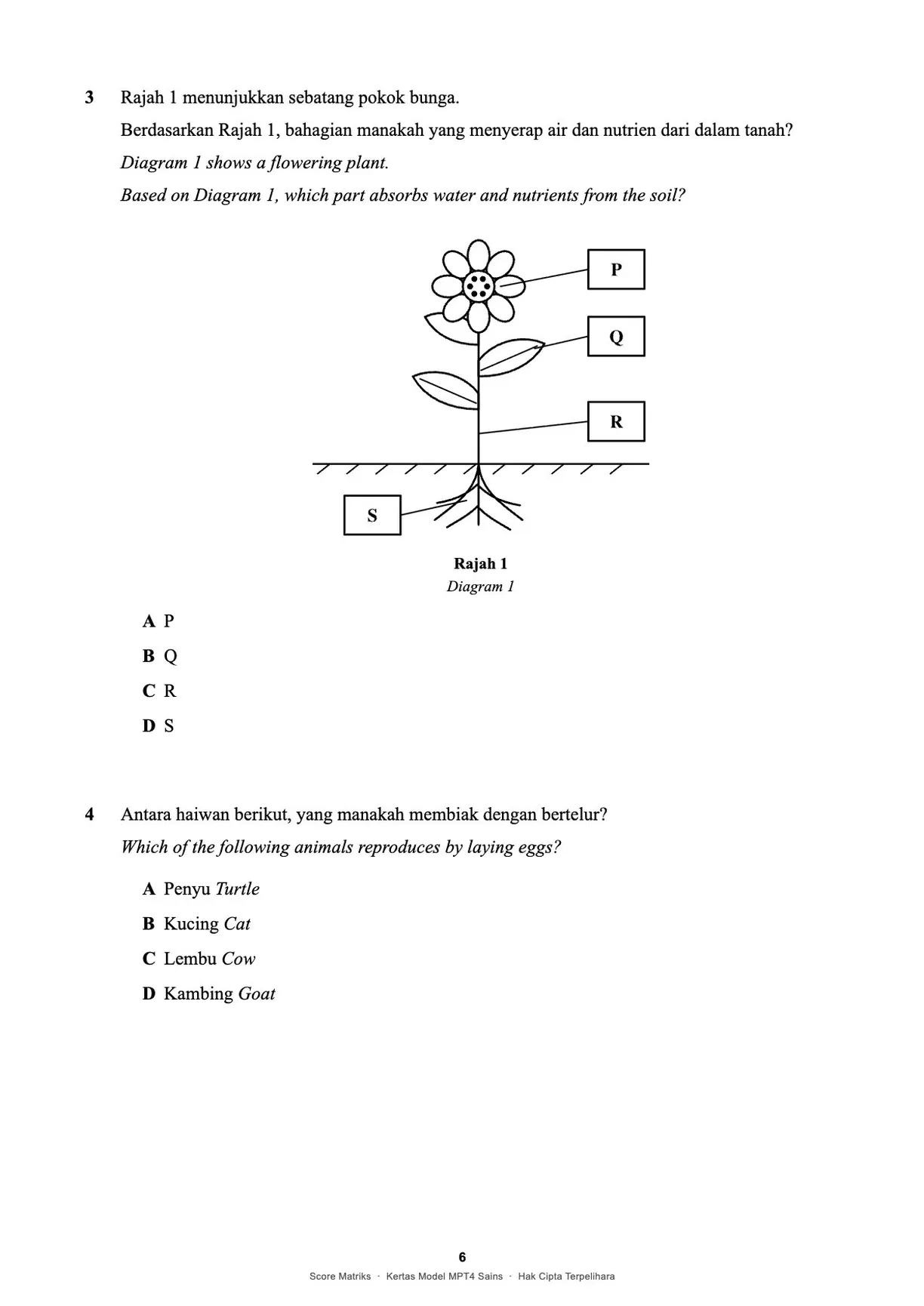 Contoh kertas model Sains – Bahagian A